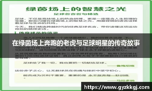 在绿茵场上奔跑的老虎与足球明星的传奇故事